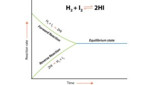 Chemical Equilibrium NEET Notes, Check Important Questions
