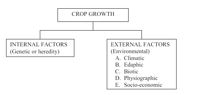 Factors Affecting Crop Production - Complete List_4.1