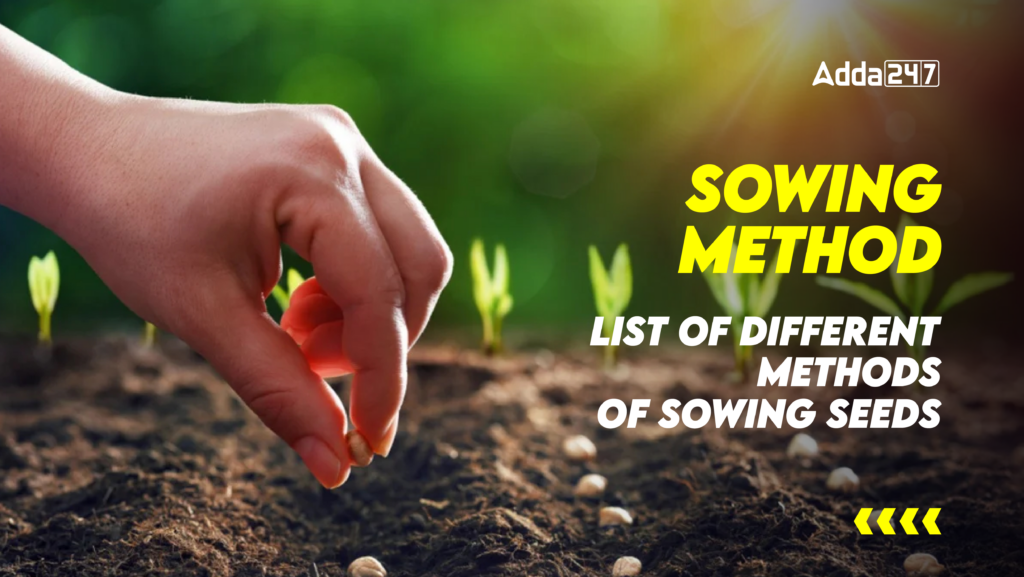 Sowing Method List Of Different Methods Of Sowing Seeds sowing-method-list-of-different-methods-of-sowing-seeds