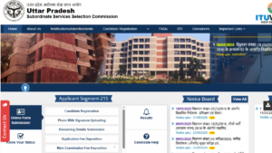 UPSSSC VDO Result 2025