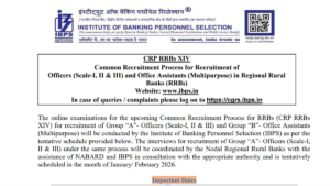 IBPS RRB Notification 2025