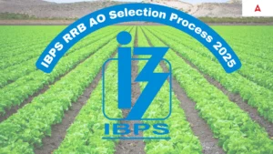 IBPS RRB Agriculture Officer Selection Process