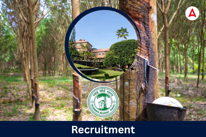 Rubber Board Recruitment 2025