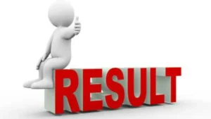 Rajasthan VDO Result 2025