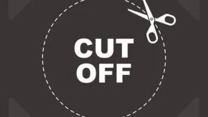 Rajasthan VDO Cut off 2025