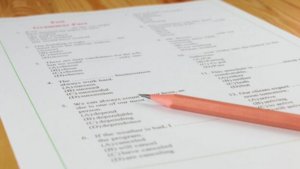 Rajasthan Driver Question Paper 2025