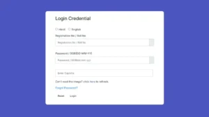 IBPS RRB Clerk Office Assistant Admit Card 2025