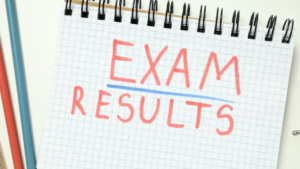 Rajasthan VDO Result 2025