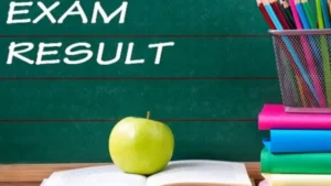 APSE CCE Mains Result 2025-26