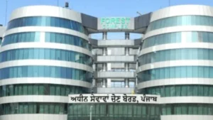 PSSSB Steno Typist Syllabus 2026, Check Latest Exam Pattern