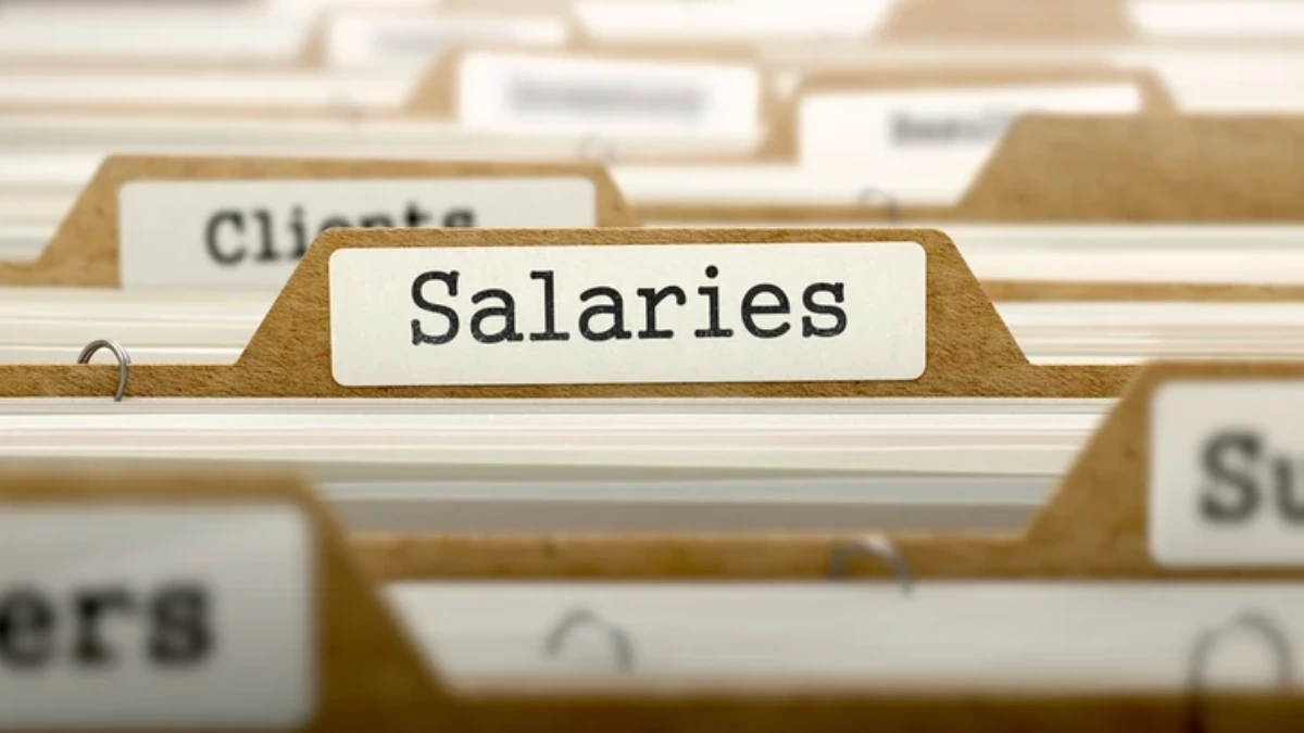 PSSSB Steno Typist Salary 2026, Check Job Profile, Pay Scale & Career Growth