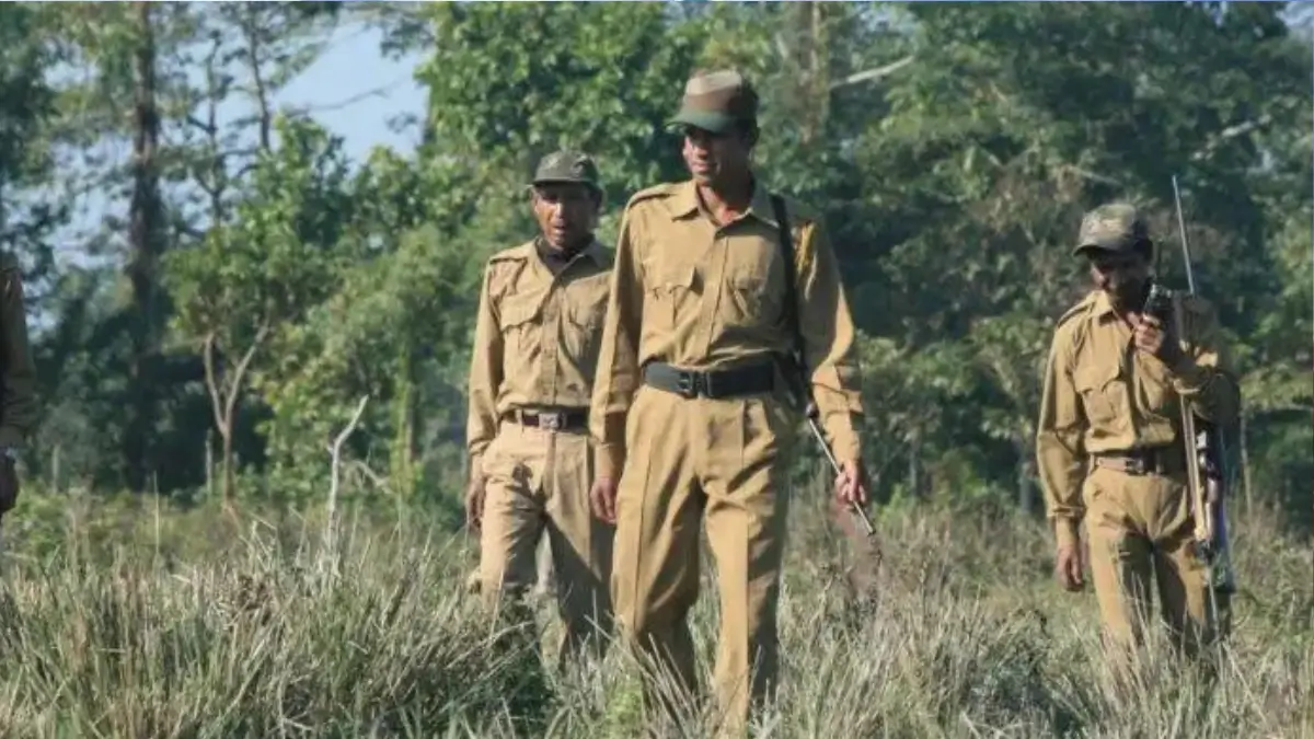 BTC Forest Guard Admit Card 2026