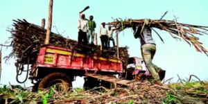 UPSSSC Cane Supervisor Notification 2026