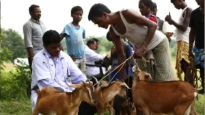 UPSSSC Livestock Extension Officer Recruitment 2026