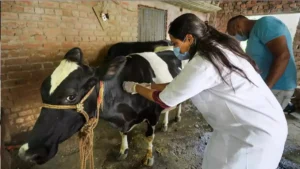 BTSC Touring Veterinary Officer Recruitment 2026