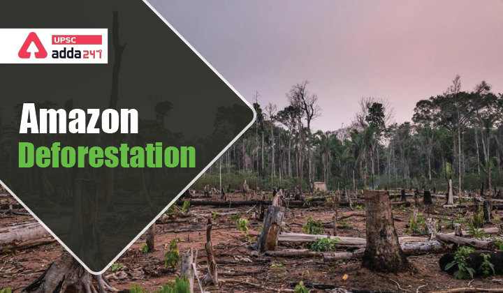 Amazon Deforestation