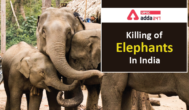 भारत में हाथियों की मृत्यु_40.1