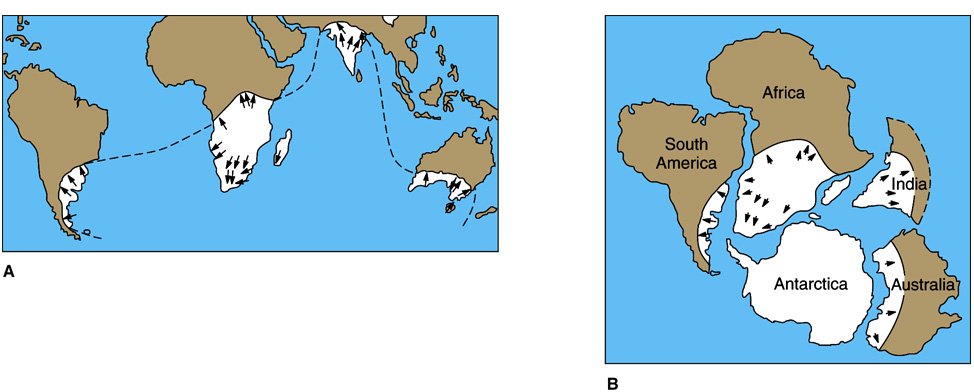 Geography