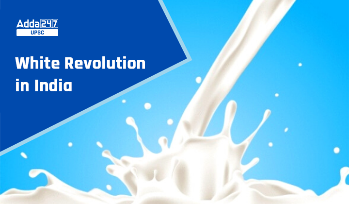 White Revolution In India