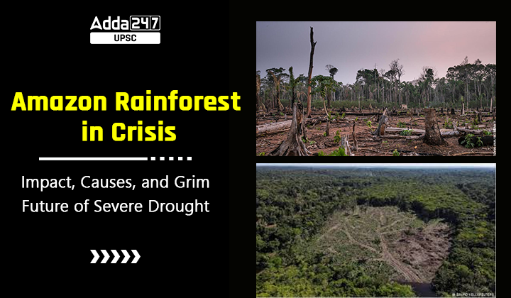 Amazon Rainforest Crisis