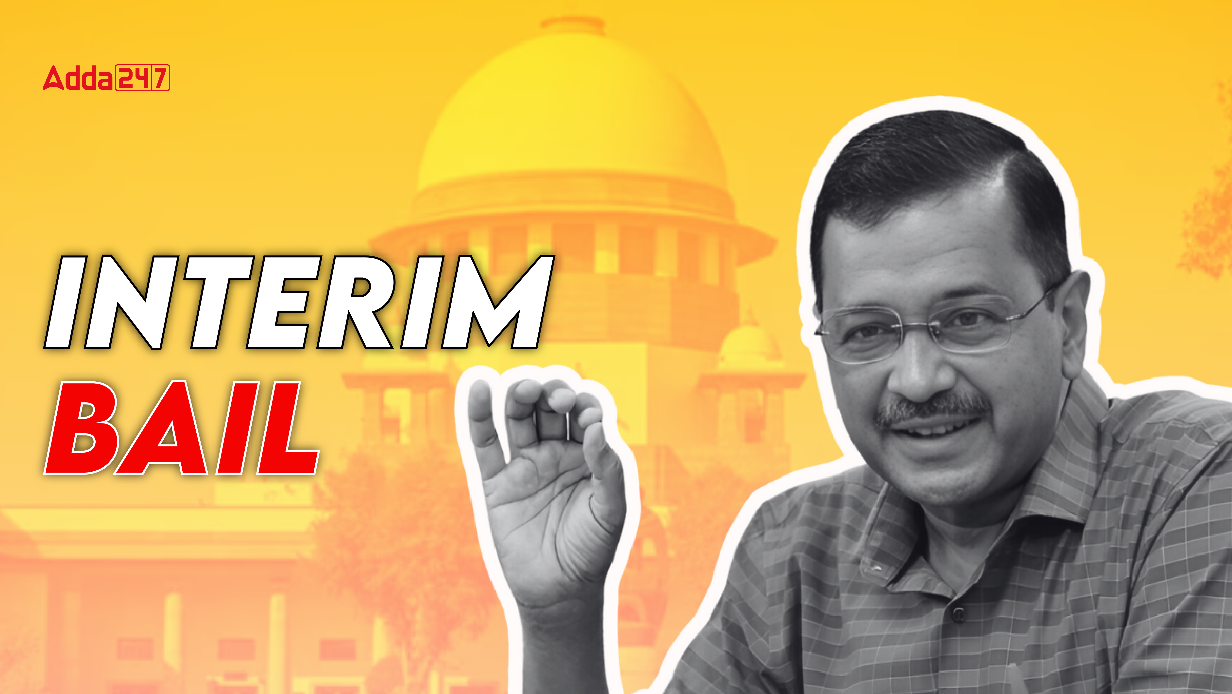 Interim Bail