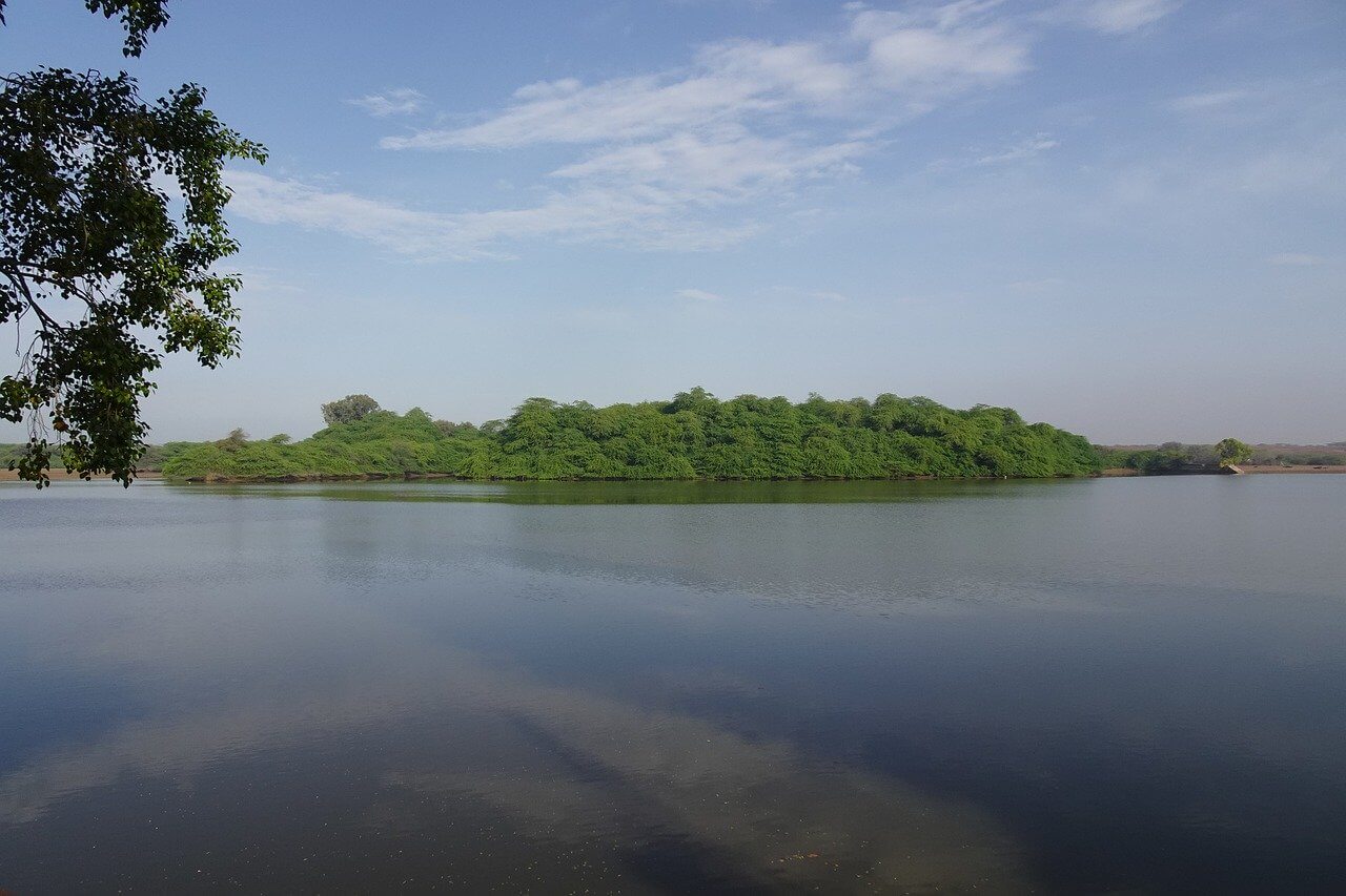 ভারতের রামসার ওয়েটল্যান্ড সাইটগুলির তালিকা | List of Ramsar Wetland sites in India_50.1
