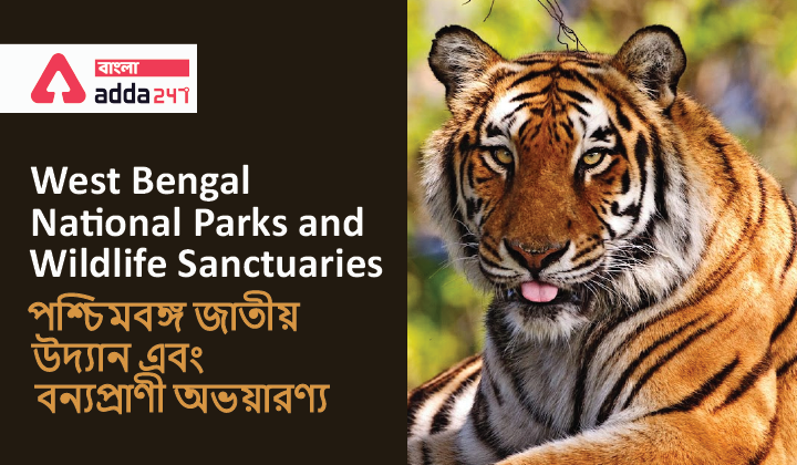 West Bengal National Parks and Wildlife Sanctuaries: Study Material for WBCS| পশ্চিমবঙ্গ জাতীয় উদ্যান এবং বন্যপ্রাণী অভয়ারণ্য: WBCS এর জন্য স্টাডি মেটিরিয়াল_40.1