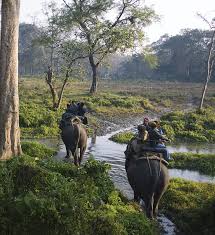 West Bengal National Parks and Wildlife Sanctuaries: Study Material for WBCS| পশ্চিমবঙ্গ জাতীয় উদ্যান এবং বন্যপ্রাণী অভয়ারণ্য: WBCS এর জন্য স্টাডি মেটিরিয়াল_70.1