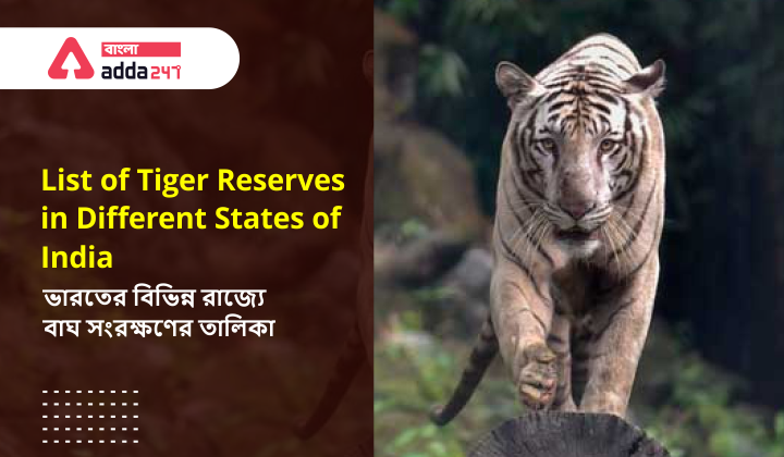 National Animal of India Royal Bengal Tiger_40.1