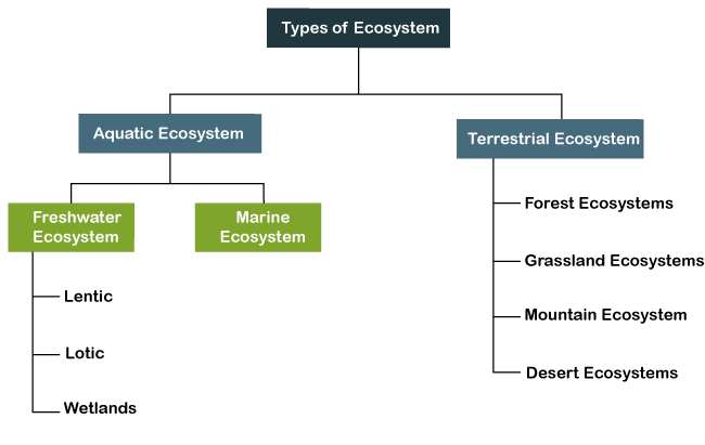 Which of the following is the most stable Ecosystem?_40.1