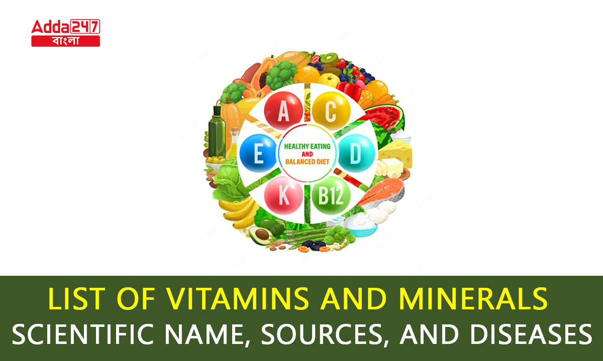 List of Vitamins and Minerals