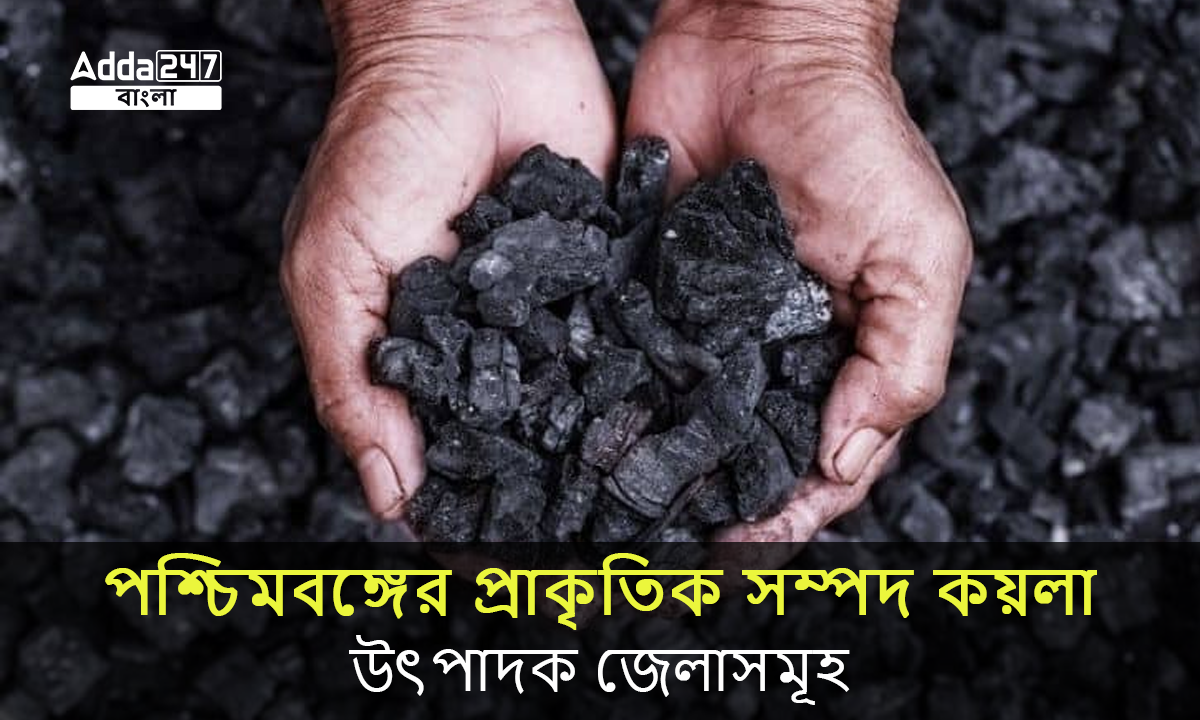 পশ্চিমবঙ্গের প্রাকৃতিক সম্পদ কয়লা