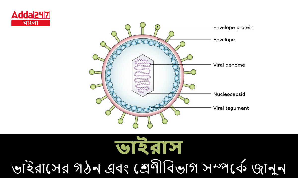 ভাইরাস