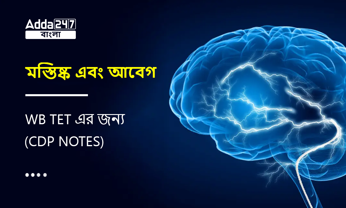 মস্তিষ্ক এবং আবেগ, WB TET এর জন্য-(CDP Notes)