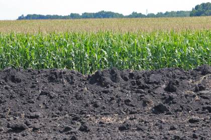 TNPSC, UPSC Study materials :GEOGRAPHY | 7 Types of Soils in India | இந்தியாவின் 7 மண் வகைகள்_60.1