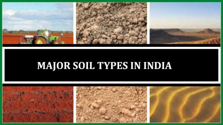 TNPSC, UPSC Study materials :GEOGRAPHY | 7 Types of Soils in India | இந்தியாவின் 7 மண் வகைகள்_40.1