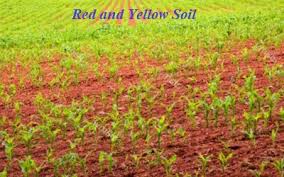 TNPSC, UPSC Study materials :GEOGRAPHY | 7 Types of Soils in India | இந்தியாவின் 7 மண் வகைகள்_70.1