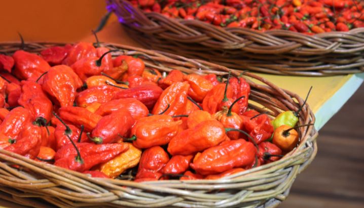 Bhoot Jolokia chillies from Nagaland exported to London | நாகாலாந்தில் இருந்து பூட் ஜோலோகியா மிளகாய் லண்டனுக்கு ஏற்றுமதி செய்யப்பட்டுள்ளது |_40.1