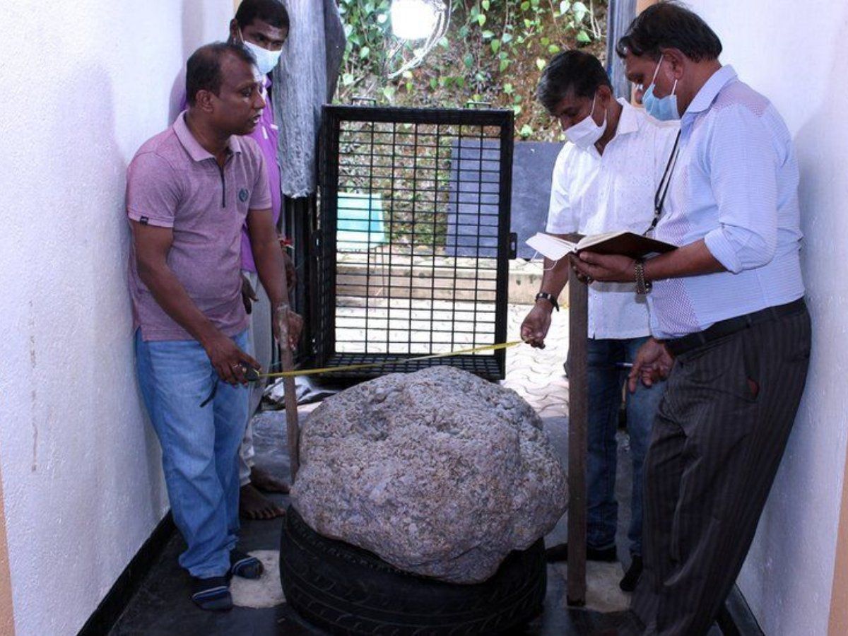 World's largest star sapphire cluster found in a Sri Lankan backyard |_40.1