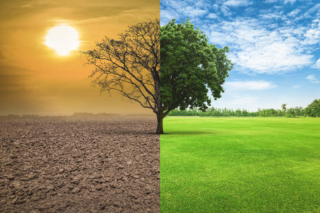 CLIMATES OF TAMIL NADU | தமிழ்நாட்டின் காலநிலைகள் |_50.1