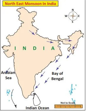 CLIMATES OF TAMIL NADU | தமிழ்நாட்டின் காலநிலைகள் |_90.1
