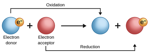ஒடுக்க-ஏற்ற வேதிவினைகள் | Redox Reactions | TNPSC Group 2 and 2a |_50.1
