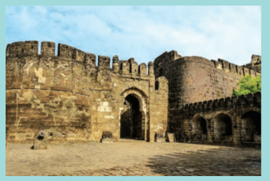 டெல்லி சுல்தானியம் | The Delhi Sultanate |_50.1