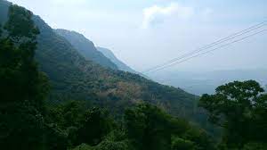 கிழக்குத் தொடர்ச்சி மலைகள் | The Eastern Ghats |_70.1