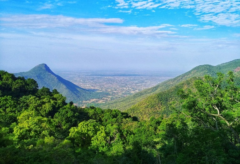 கிழக்குத் தொடர்ச்சி மலைகள் | The Eastern Ghats |_90.1
