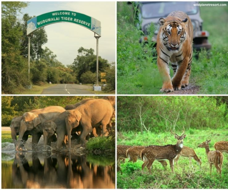 Famous tourist places in tamilnadu | தமிழ்நாட்டில் பிரபலமான சுற்றுலா இடங்கள் |_150.1