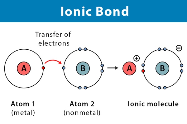Chemical Bonds for TNPSC | வேதிப் பிணைப்பு_70.1