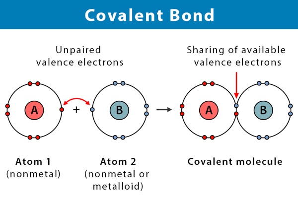 Chemical Bonds for TNPSC | வேதிப் பிணைப்பு_80.1