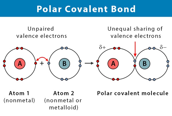 Chemical Bonds for TNPSC | வேதிப் பிணைப்பு_90.1