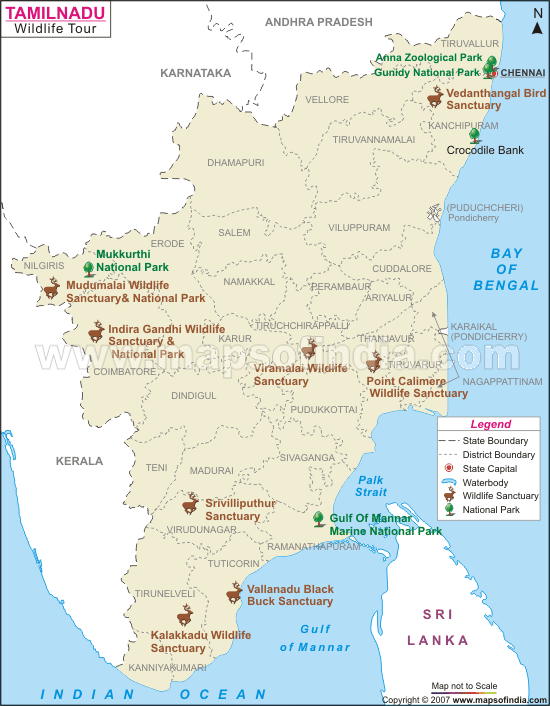 Tamilnadu | தமிழ்நாடு_60.1